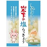 岩下の塩らっきょう　90g　×　5パック　常温