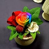 【ホワイトデーギフト】プリザーブドフラワー　レインボーローズのプチアレンジ《Vivid》