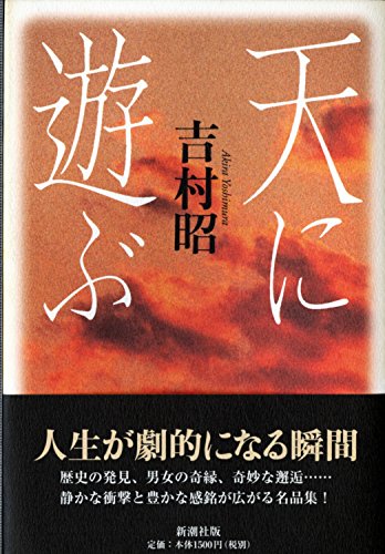 天に遊ぶ