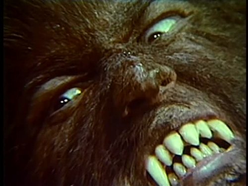 ワルプルギスの夜 ウルフvsヴァンパイア 画像 壁紙 海外映画