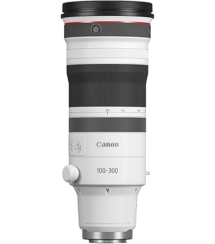Sigma 120-300mm F2.8 Sports DG APO OS HSM Lens for Canon : Amazon