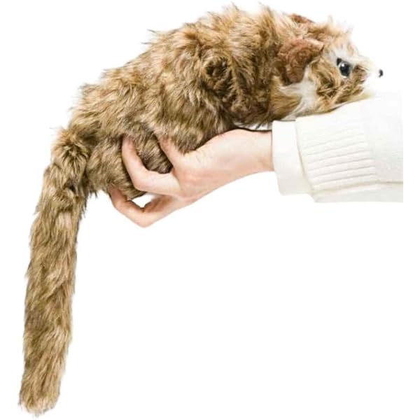 マギー審司のラッキーマジック33 | マギー審司 |本 | 通販 | Amazon