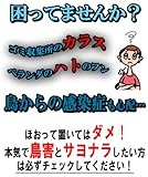 バードキラーネオ 2本組 50049
