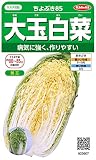 サカタのタネ 実咲野菜2607 大玉白菜 ちよぶき85 00922607