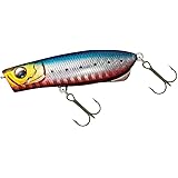 Amazon ダイワ Daiwa チニングロッド シルバーウルフ Ags 701lxs 釣り竿 ダイワ Daiwa シーバスロッド