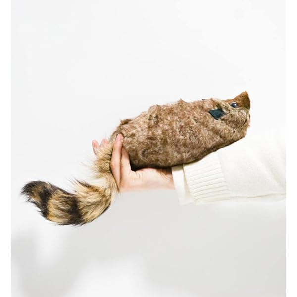 マギー審司のラッキーマジック33 | マギー審司 |本 | 通販 | Amazon