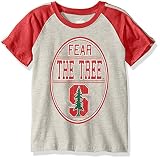ラグラン半袖Tシャツ L レッド