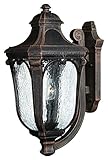 Hinkley Lighting 1315MO Trafalgar Outdoor Light, Mocha by Hinkley