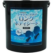 Amazon.co.jp: 東神電気 クールワーカー 猛暑対策 業務用 冷感スプレー