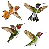 Wild Life Animals Wall Sticker Mural Hummingbirds, Large [並行輸入品]