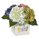 ほぼ自然1448-as Hydrangea in New Babyセラミック