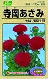 カネコ種苗 草花タネ064 寺岡あざみ 10袋セット