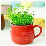 ホームデスクトップの装飾のための装飾的なクリエイティブセラミック水マグ植物植木鉢プランター