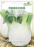 野菜の種 フェンネル（フィノッキォ）・ロマーニャ