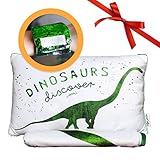 Discovery恐竜枕&ベルベットブランケットセット( +無料ブレスレット)