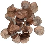 Darice RC-7209-45 Decorative Satin Rose Petals, Chocolate, 100-Pack [並行輸入品]