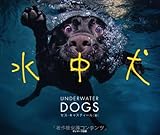 水中犬 水中犬