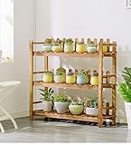 フラワースタンド ソリッドウッドフラワースタンドカーバイドマルチフラワースタンドバルコニーリビングルーム屋内プラントスタンド Flower racks (色 : D)