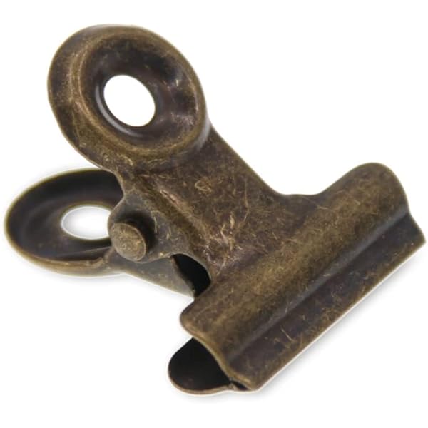 small orange freshwater aquarium fish