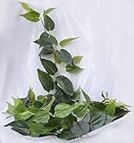 TomYumKungハンギング植物の葉Atificial Hanging Plant Leaves