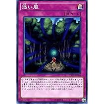 Amazon.co.jp: 遊戯王 迷い風 レイジング・テンペスト（RATE