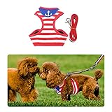 SOROS 小型犬 超かわいい お洋服感覚 マリン風 ボーダー柄 愛犬に負担がかからない 器官が弱い子に 子犬や老犬に 首が苦しくない メッシュ ソフト 使いやすい 丈夫 耐久性 調節できる 簡単脱着 お散歩 お出かけ用 犬用 胴輪 ペット用 ワンちゃん ハーネス リード セット (S, レッド)