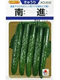キュウリ　南進 タキイ交配タキイのキュウリ種です　　 （グリーンデポ）