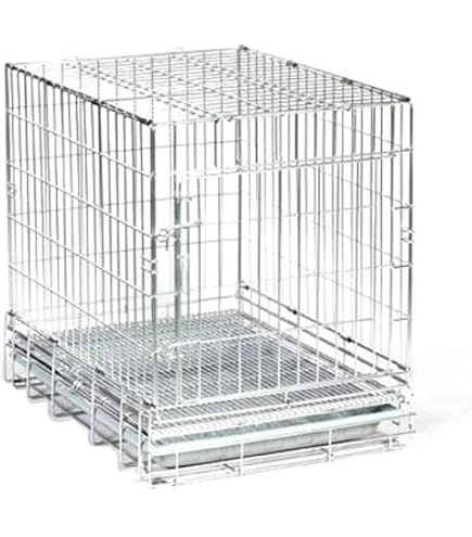 Amazon | 市瀬 ハチコウステンレスケージ SSM-SOP | 市瀬 | 飼育ケージ