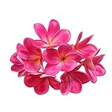 超リアル　枝付き　プルメリア　フランジパニ　造花　直径8cm　11色展開　十個セット　アジアン雑貨　飾り物　ヘアアクセサリー　インテリア　手細工の材料 (ローズレッド)