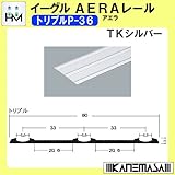AERA (アエラ) レール 【イーグル】 ハマクニ トリプルP-36-4000mm TKシルバー 435-518