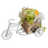 Merci la fleur プリザーブドフラワー 完成品 Bianchi ビアンキ グリーン
