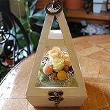 パラボッセオリジナル プリザーブドフラワー テラリウム オレンジ 横幅12cmx12cmx高さ20cm preserved flowers