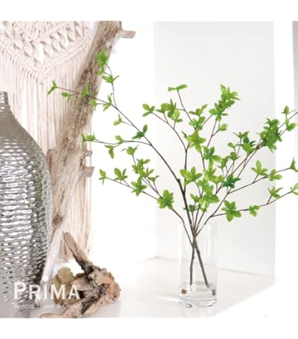 Amazon｜GREENPARK ドウダンツツジ ミックス Water H60cm 観葉植物