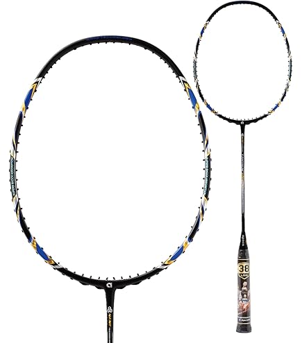 アパックス FEROCIOUS22 バドミントンラケット 新品未使用 楽天市場】アパックス バドミントンラケット フェローシャス22