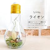 Merci la fleur Ampoule series アンプル アニマル 電球テラリウム アレンジ プリザーブドフラワー (ライオン)