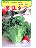 美味タス　トキタ種苗のレタス種です