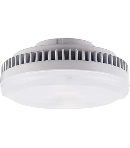 クーザ様新品TOSHIBA E-CORE LDF7L-GX53/2 30個 クーザ様新品TOSHIBA E 