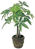 光触媒 人工観葉植物 光の楽園 パキラポット 252A35