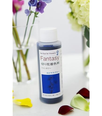 Amazon.co.jp: 切花用着色剤 ファンタジー ミント 100ml : ホーム
