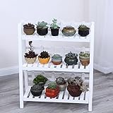 木製植物フラワースタンド/多段鉢植えプラントディスプレイスタンドバルコニー居間屋外フラワースタンド ( サイズ さいず : 50*93cm )