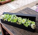アレンジメントフラワー ギフト サプライズ BOX フラワー ワイドロング型 ( 白 グリーン 系 )