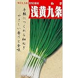 ネギ 種 【 浅黄系九条 】 種子 小袋（約15ml）