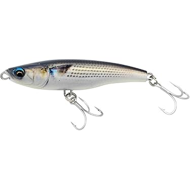 Amazon.co.jp 最新リリース: シーバス・ヒラメルアー の新着ランキング