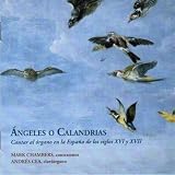 Angeles O Calandrias