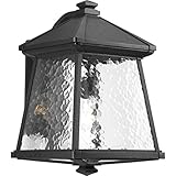 Progress Lighting P5999-31 One-Light Lantern, 11-Inch, Large [並行輸入品]