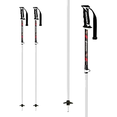 Amazon.co.jp 売れ筋ランキング: スキーストック・ポール の中で