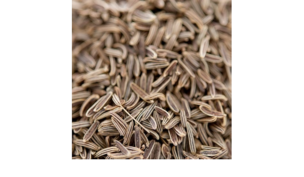 Amazon 神戸スパイス キャラウェイシード 50g Caraway Seed ヒメウイキョウ スパイス 香辛料 製菓材料 業務用 神戸スパイス Kobe Spice スパイス ハーブ 通販