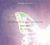 Healing Harp Vol.2 The Moment of Transformation �ϗe�̏u��