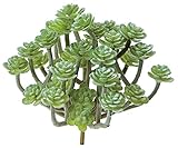 ポピー 多肉植物 造花 ミニアオエニウムピック グリーン