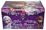 Disney 's Frozen , Elsa & Anna Large Flat Top Domeトランク